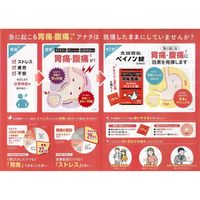 太田胃散ペイノン錠 太田胃散 胃痛 腹痛 さしこみ【第2類医薬品】