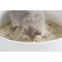 PIDAN 猫砂 おから ベントナイト ミックス 2.4kg 1袋