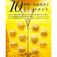 ハッピーバース トリプルレインボー カラーシャンプー パープル 300mL 4582563811102 1本(300mL入)（直送品）