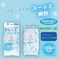 iiもの本舗 さらっとひんやりパウダーシート シーソルトミントの香り 大判サイズ 25枚入 4589596694146 1袋(25枚入)（直送品）