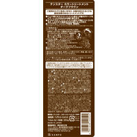 テンスター　ヘナカラートリートメント　ダークブラウン　244686　三宝