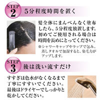 テンスター ヘナカラートリートメント アッシュダークブラウン 250g 三宝