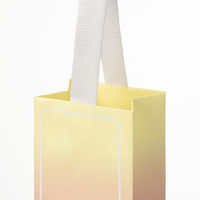 【数量限定】グラデーションギフトバッグ　4サイズセット 限定