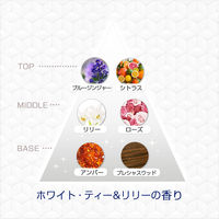 ファブリーズ 消臭芳香剤 玄関用 ホワイト・ティー&リリー 1セット（1パック（本体ケース+詰替2個）×3） P＆G