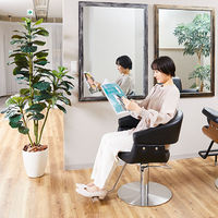 SEVEN BEAUTY (セブンビューティー) スタイリングチェア MILANO ブラック 44639 1台（直送品）