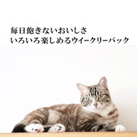 シグネチャー7 バラエティパック パウチ 1箱（50g×14）ファンタジーワールド キャットフード 猫用 ウェット