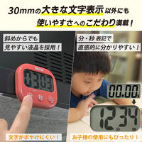 タニタ（TANITA） 抗菌でか見えタイマー キッチンタイマー チェリーレッド TD429RD TD-429-RD 1個