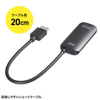 サンワサプライ HDMI-DisplayPort変換アダプタ(4K/60Hz) AD-HD31DP 1個（直送品）