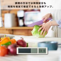 キングジム ビジュアルバータイマー 白 VBT10-W 1個