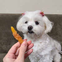 ペティオ ササミ巻き やわらか 細切りおいも 48個入（24個×2袋）1セット（1袋×3）犬用 おやつ