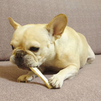 ペティオ 素材そのまま 完全無添加 牛あばら骨カットタイプ 小型犬～大型犬用 90g 3袋 犬用 おやつ