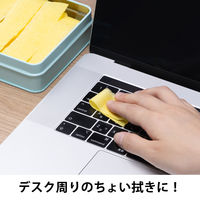 サッサの耳 ホコリ取り 1袋（約100g） 家具 家電 網戸 フローリング 大日本除虫菊 金鳥 使い捨て雑巾 限定