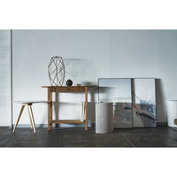 東谷 ROOM ESSENCE アートパネル 幅600×奥行40×高さ900mm ART-199P 1枚（直送品）