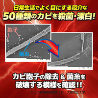 ウルトラハードクリーナー カビ用 本体 200g リンレイ　1セット（1本×3）