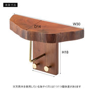 東谷 タオルハンガー JW-223BR 1台（直送品）