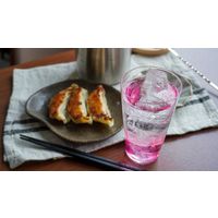 HiNODE 赤しそサワーの素 20度 500ml 1本 赤しそ 赤紫蘇 バイスサワー 国産素材 熊本県産 約10杯分