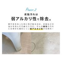 アイメディア 業務用スカッと浴室洗浄 1008813 1個（直送品）