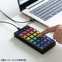 サンワサプライ プログラマブルテンキー（Bluetoothモデル） NT-BT26BK 1個（直送品）