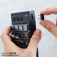 サンワサプライ プログラマブルテンキー(2.4Gモデル) NT-WL26BK 1個（直送品）