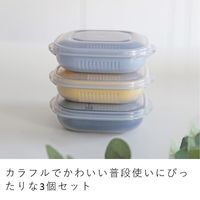 &NE 冷凍ご飯もふっくら解凍 Refura（レフラ）保存容器 3色セット 1個 電子レンジ可 エヌ・エレファント