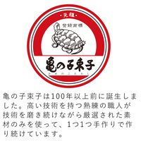 亀の子束子西尾商店 ボディケア用 健康たわし タムラさん 柔らかい 4971871046199 1個