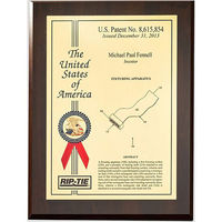 RIP-TIE(リップタイ) リップロックケーブルラップ 25.4mmX114.3mm 黒 RLH-045-010-BK 1袋(10本)（わけあり品）