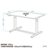 サンワサプライ 電動昇降作業台 メラミン化粧天板 幅1200×奥行750mm ホワイト ERD-WDKM12075W 1台（直送品）
