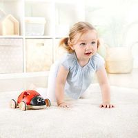 Hape おさんぽてんとうむし E0364 1個