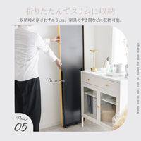 武田コーポレーション スタンドミラーワイドGD A3-SM150GD 1箱(1個入)（直送品）