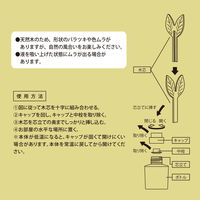 ルーノ リキッド ディフューザーウッド ジャスミン＆ペアー DH522 80ml 1個 カーメイト