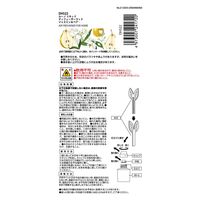 ルーノ リキッド ディフューザーウッド ジャスミン＆ペアー DH522 80ml 1セット（1個×3） カーメイト