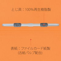プラス 紙製ファイル フラットファイル 年組氏名 B5 タテ オレンジ 79520 1冊