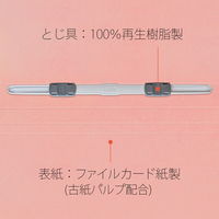 プラス 紙製ファイル フラットファイル 年組氏名 B5 タテ ピンク 79528 1袋(10冊入)