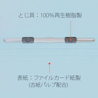 プラス 紙製ファイル フラットファイル 年組氏名 B5 タテ ロイヤルブルー 79521 1袋(10冊入)