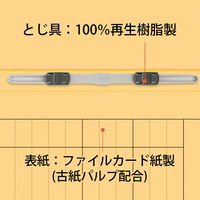 プラス 紙製ファイル キャリア・パスポート フラットファイル A4 児童用 イエロー 91387 1袋(10冊入)
