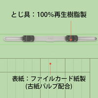 プラス 紙製ファイル キャリア・パスポート フラットファイル A4 児童用 グリーン 91386 1袋（10冊入）