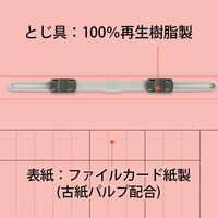 プラス 紙製ファイル キャリア・パスポート フラットファイル A4 児童用 ピンク 91388 1袋（10冊入）
