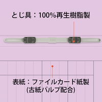 プラス 紙製ファイル キャリア・パスポート フラットファイルA4 クラス用 バイオレット 91372 1箱(1袋(10冊入)×10)