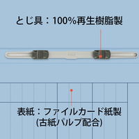 プラス 紙製ファイル キャリア・パスポート フラットファイルA4 児童用 ロイヤルブルー 91381 1箱(1袋(10冊入)×10)