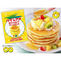 ライソン パインアメ魔法のシロップメーカー KDFD-007Y 1個