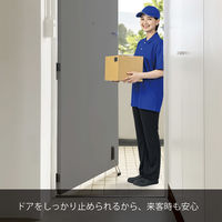 マグエックス 超強力マグネットドアストッパー ZEROslide 黒 MDZR-K 1個