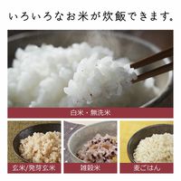 日立 炊飯器 RZ-A100HJ W フロストホワイト 5.5合 圧力IHタイプ 日本製 蒸気セーブ