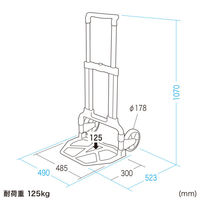 サンワサプライ 折りたたみキャリー(2輪台車) CART-FA10BK 1個（直送品）