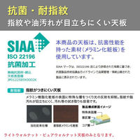 【組立設置込】プラス リネロ3 会議テーブル 幅1200×奥行450mm ピュアウォルナット×BK LD3-415MTN PW/SBK 1台（直送品）