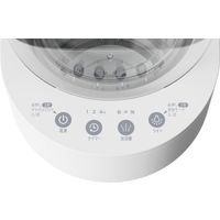 エスケイジャパン ガラス型ポット式スチーム加湿器 SKJ-RY30SKG-WH 1台（直送品）