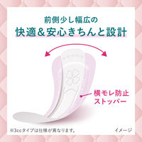 ロリエ さらピュア吸水 超吸収スリム 10cc 大容量サイズ 1セット（72枚入×3パック） 花王