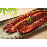 キングマカデミアンJAPAN 浜松・浜名湖うなぎ蒲焼 2人前 長焼き U910002 1セット（直送品）