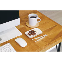 錦化成 スヌーピー ミニスナックトング BE 4460157 1本（直送品）