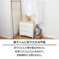 天馬 ポーリッシュ インテリア物干し ハンガーラック PSI-11 1個