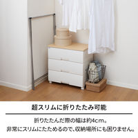 天馬 ポーリッシュ インテリア物干し ふとん干し PSI-07 1セット（3個）